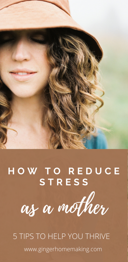 photo for pinterest showing a mother trying to deal with stress in life. 