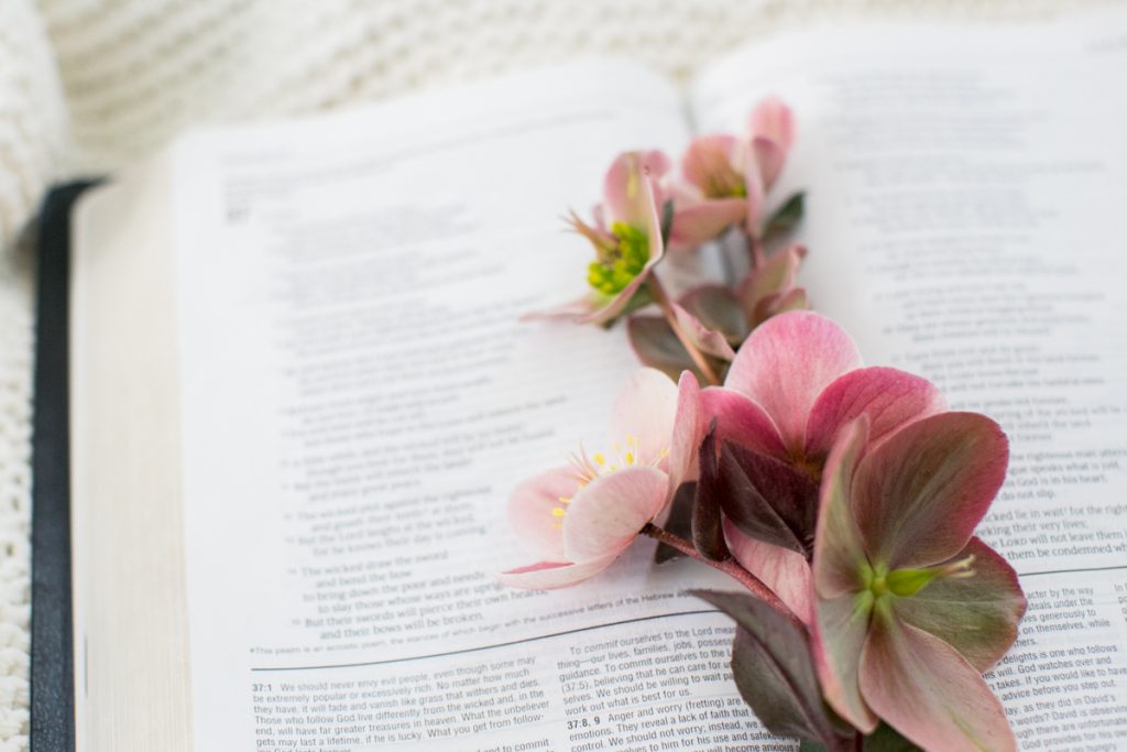 Reading Scriptures can be a part of holistic support for anxiety and depression 
