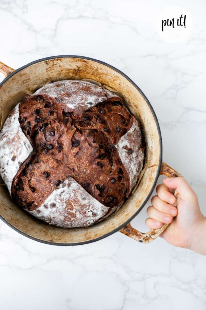 double chocolate sourdough bread in a dutch oven