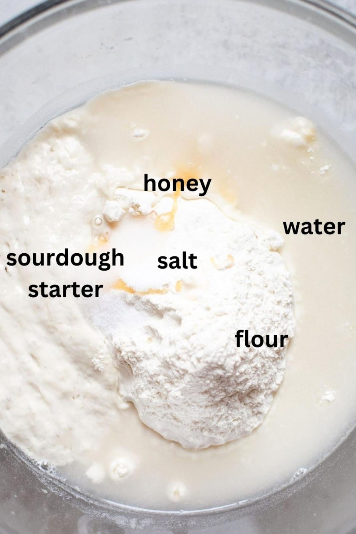 Ingredients for sourdough bagels in a bowl: water, honey, salt, sourdough starter, and flour.