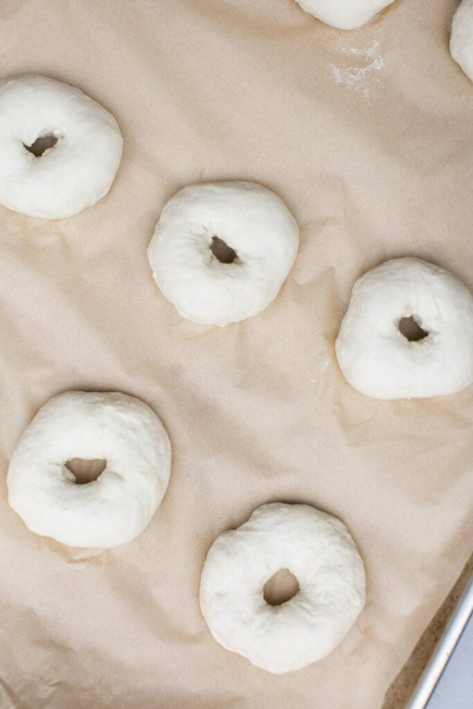 Raw sourdough bagels on a piece of parchment paper on a tray.