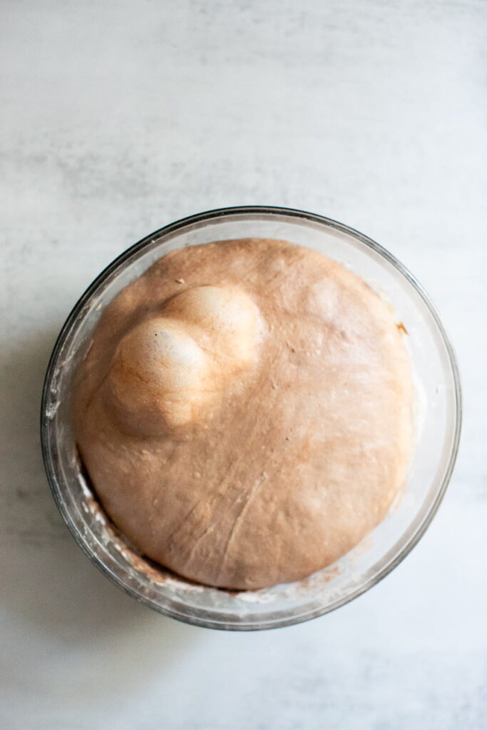 fermented sourdough chocolate focaccia