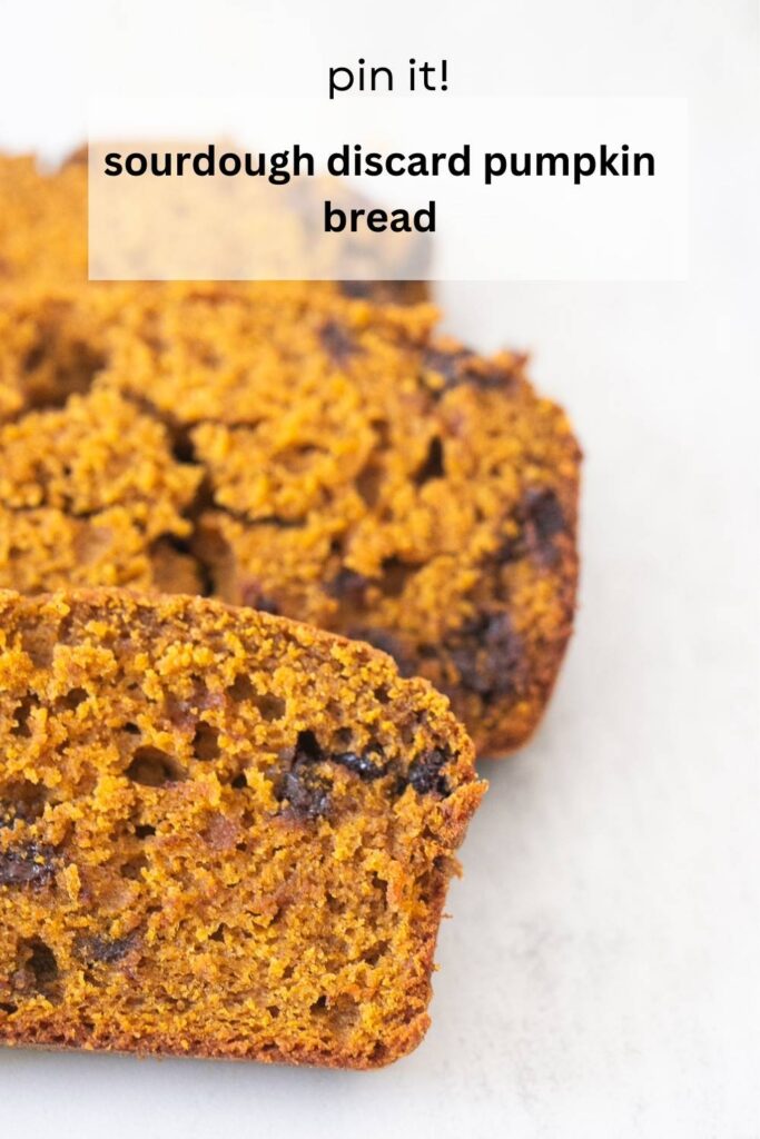 sourdough discard pumpkin bread with chocolate chips