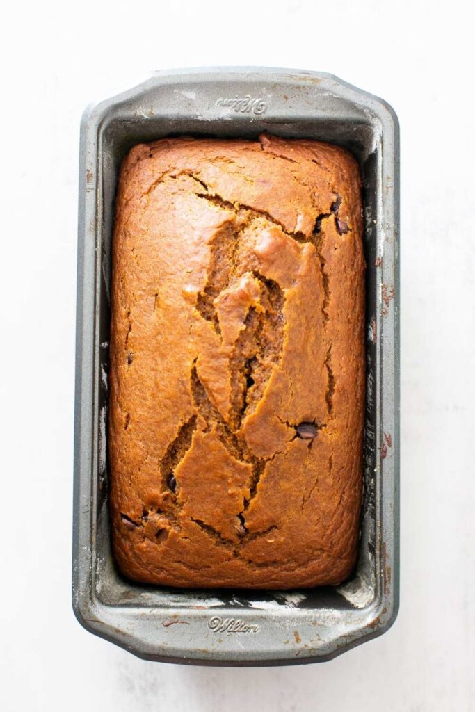 sourdough discard pumpkin bread with chocolate chips in a 9x5 baking pan