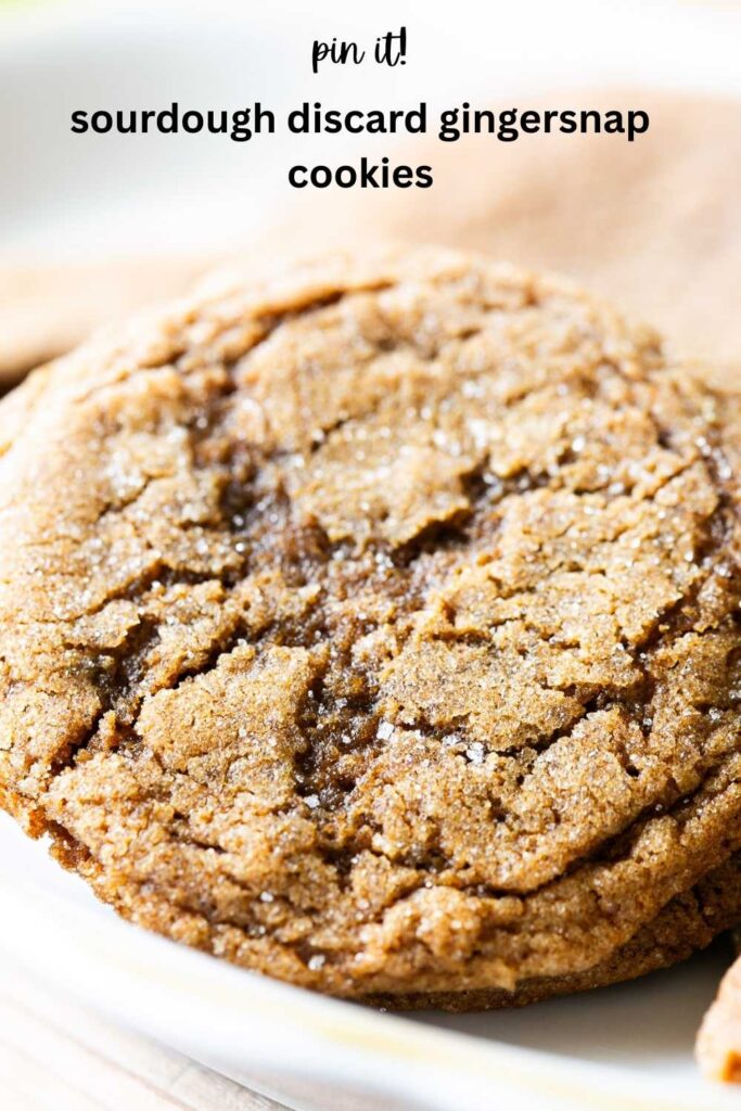 sourdough discard gingersnap molasses cookies on a tray
