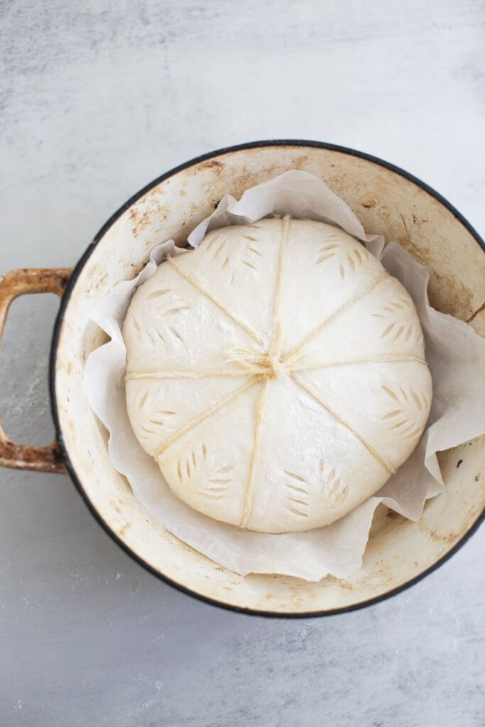 pumpkin shaped sourdough bread in a dutch oven