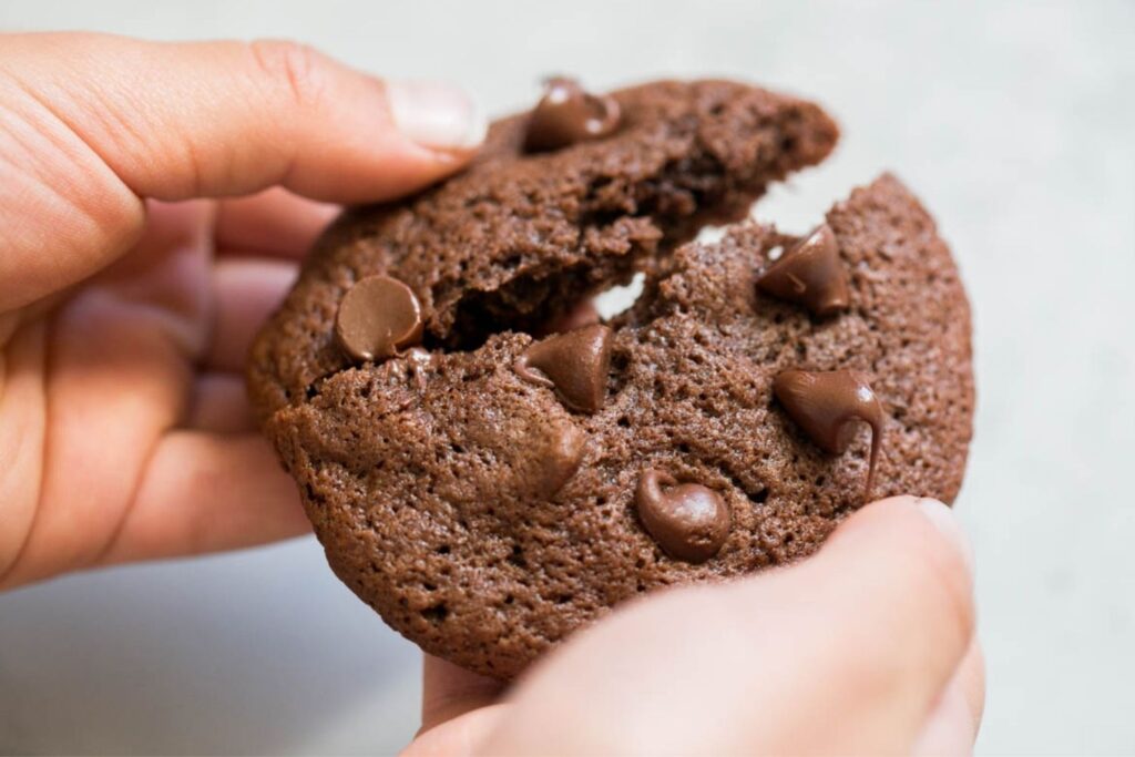double chocolate sourdough cookies