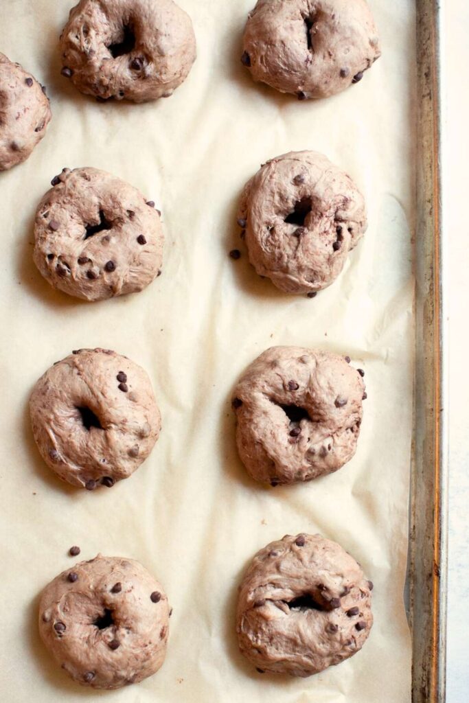 sourdough chocolate chip bagels on a baking sheet for the second ferment