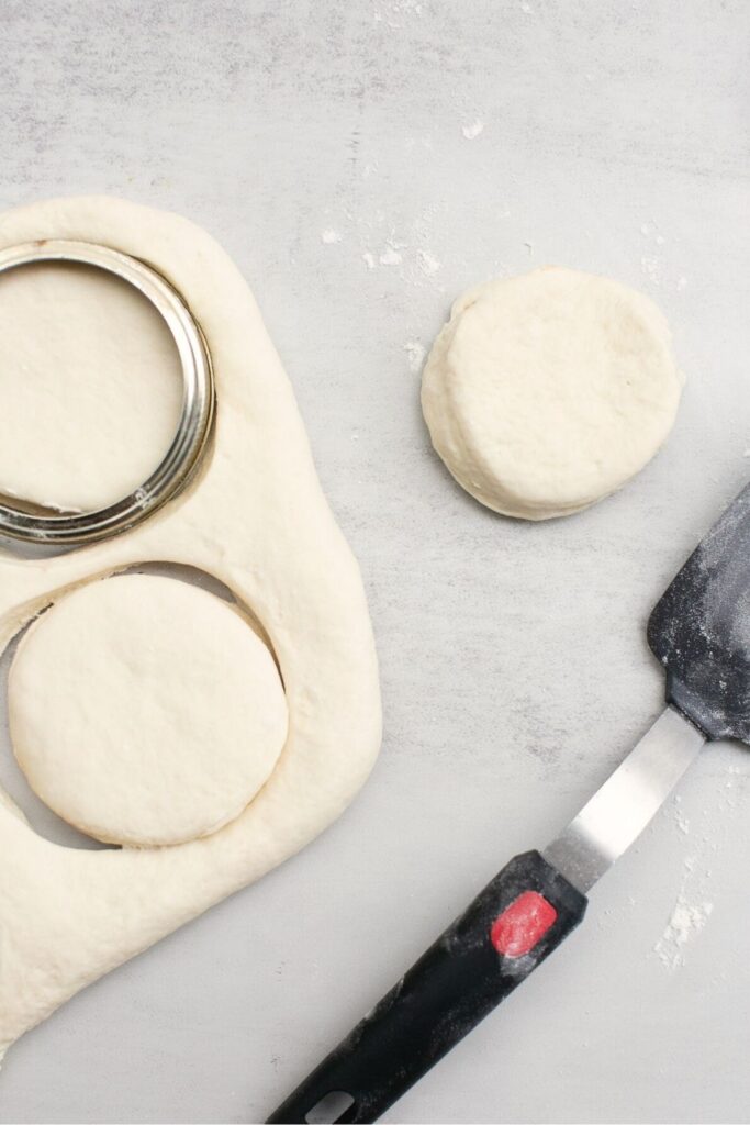 dough cut out in circles with a biscuit cutter for sourdough English muffins