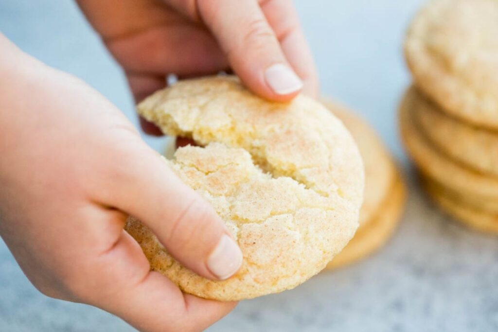 sourdough snickerdoodle cookies