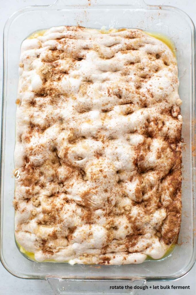 sourdough cinnamon roll focaccia in a 9x13 glass pan with lots of butter and oil smothered on it