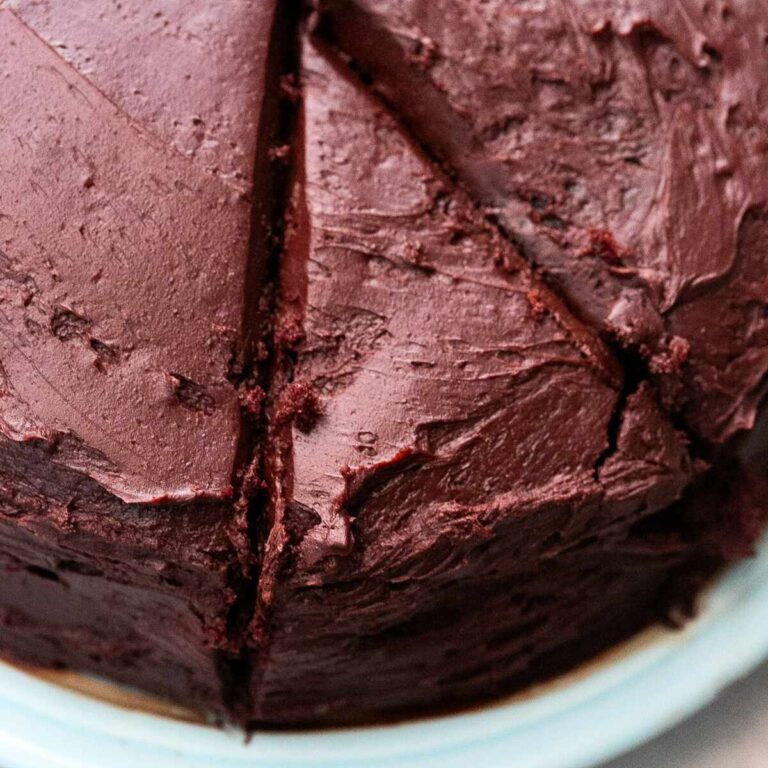 moist and tender old fashioned chocolate espresso cake