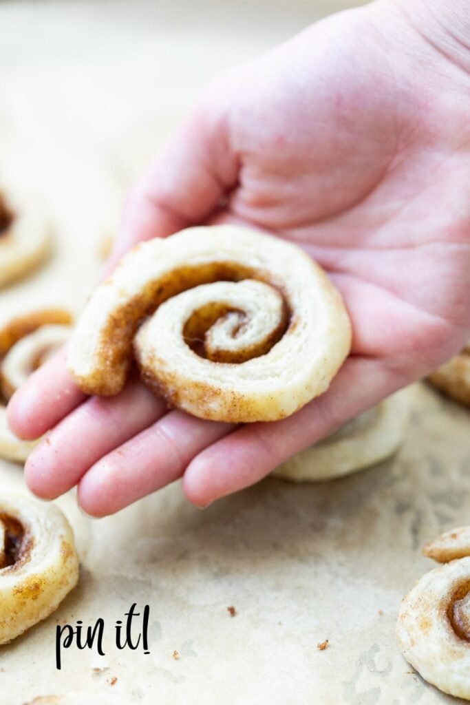 sourdough discard pie crust cookie recipe