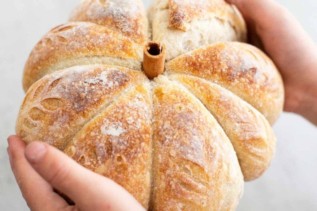 sourdough pumpkin shaped sourdough loaf