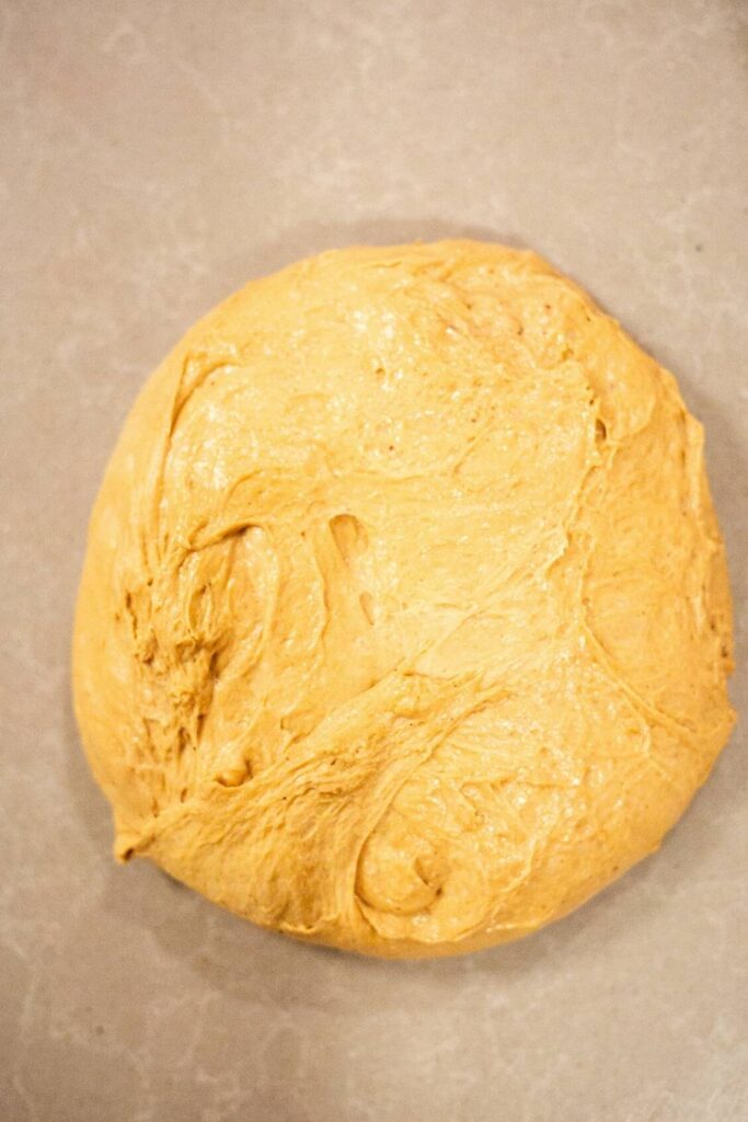 sourdough gingerbread boule dough