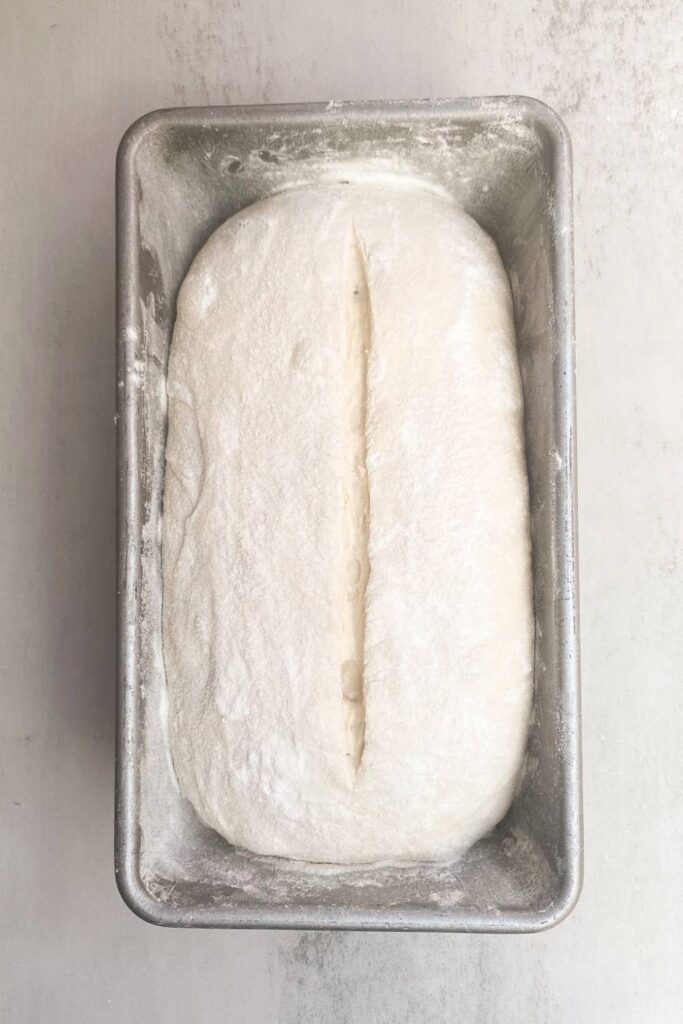 sourdough bread in loaf pan after being scored