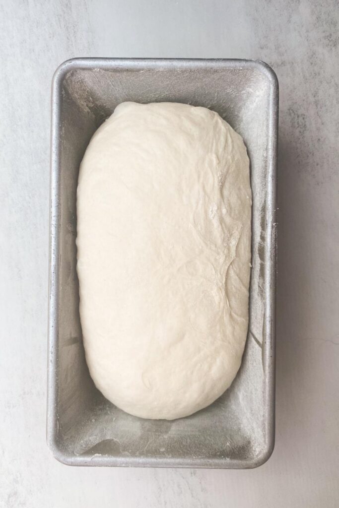 sourdough bread in loaf pan before baking