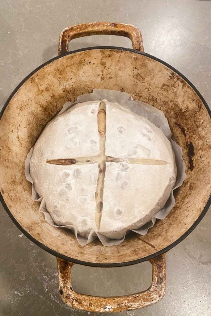 Sourdough maple pecan bread loaf in a Dutch oven.