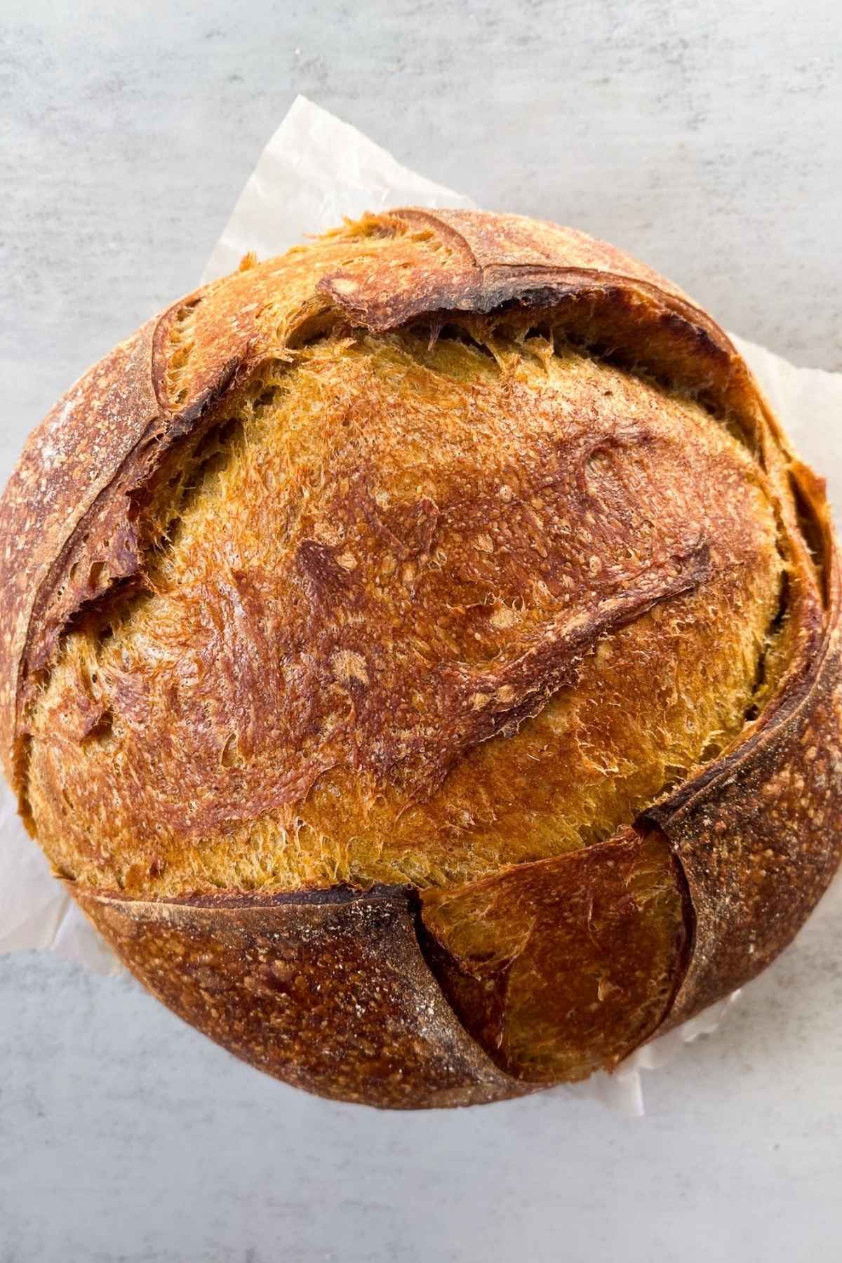 Artisan sourdough pumpkin bread loaf on a table.